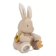 Little Dutch aktiviteettilelu Baby Bunny sisältää paljon mielenkiintoista tutkittavaa. - Pehmolelut ja unilelut - LD8430 - 5