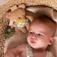 Taf Toys aktiviteettilelu Brendon vauvan vieressä - Helistimet, tarttumislelut ja pallot - 293491 - 3