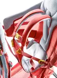 Deuter Kid Comfort Active SL kantorinkka Currant hyvillä säädöillä kantajalle ja lapselle. - Kantorinkat - 36200215042 - 6