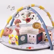 Taf Toys leikkimatto melody blood gym vauva leikkii - Leikkimatot ja lelukaaret - 294483 - 2