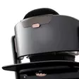 Cybex LEMO Platinum Baby Cushion istuinpehmuste tuolissa. - Syöttötuolit - 524001584 - 4