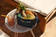 Liewood Kayden Pineapple cooler kylm=C3=A4laukussa. - Välipalapussit, eväsrasiat ja snackcupit - 18866-1965 - 3