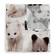 Gugguu usko harsoliina - Harsoliinat - GUGD0002-296 - 1
