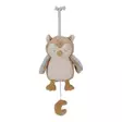 Little Dutch soittorasia Forest Friends Music Box Owl. - Mobilet ja soittorasiat - LD8906 - 1