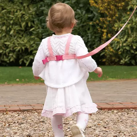 Clippasafe valjaat pinkki. - Turvaportit ja turvatuotteet - 5015876021887 - 1