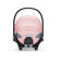 Cloud T Fashion Edition Simply Flowers Pink takaa. - Turvakaukalot 0-13kg - 523000267 - 4