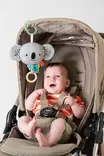 Taf Toys soittorasia Kimmy Koala Musical Koala lapsella rattaissa. - Mobilet ja soittorasiat - 265918 - 3