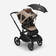 Bugaboo Fox 5 Breezy sun canopy Dune Taupe rattaissa. - Lastenvaunut ja yhdistelmävaunut - 100221029 - 5