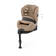 CYBEX Anoris T2 i-Size turvaistuin Cozy Beige PLUS hengitt=C3=A4v=C3=A4=
 mesh-kangas. - Turvaistuimet 9-36kg - 523001079 - 4