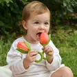 Oli&Carol purulelu Theo The Tulip lapsella. - Purulelut - L-TULIP-RED - 2