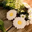 Oli&Carol purulelu Margharita The Daisy on aidon n=C3=A4k=C3=B6inen lu=
onnonkuminen purulelu. - Purulelut - L-DAISY-WHITE - 4