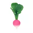 Oli&Carol purulelu Ramona The Radish. - Purulelut - L-RRADISH-UNIT - 1